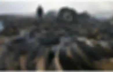 MH17 Malaysia Airlines Dinyatakan Ditembak Rudal Buatan Rusia, Australia Peringatkan Putin Agar Tak Sembunyikan Para Pelaku yang Ternyata Pernah Pegang Jabatan Penting