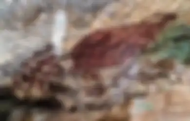 Beberapa Kesamaan Gambar Cadas Temuan Peneliti di Sejumlah Goa, Jawaban Soal Belajar dari Rumah untuk SMP TVRI 16 Juli 2020