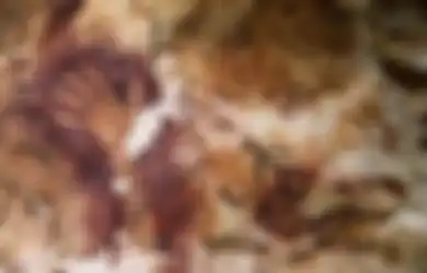 Bagaimana Karakteristik Tempat yang Biasanya Ditemukan Peninggalan Gambar Cadas di Indonesia? Jawaban Soal Belajar dari Rumah untuk SMP