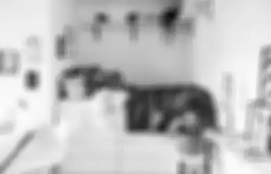 Percantik Kamar Kos Hanya dengan 3 Ide Dekorasi Hemat Biaya Ini!