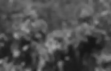 Berlumur Racun Kalajengking di Ujungnya, Pasukan Raider TNI Ternyata Sudah Biasa Gunakan Sumpit dalam Operasi Senyap Lawan Gerilya, Bunuh Musuh Secara Presisi dan Secepat Kilat