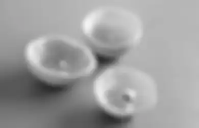 Buah Hingga Bahan Dapur Ini Ternyata Bisa Jadi Pengharum Ruangan, Loh!