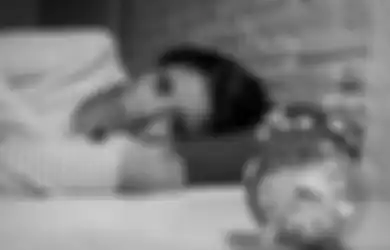 Wajib Tahu, Sediakan 5 Hal Ini di Kamar Jika Ingin Terhindar dari Insomnia