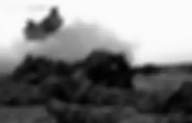 Berbanding Terbalik dengan Sikap Pengecut Sang Presiden, Wapres Afganistan Siap Taruhkan Nyawanya Hancurkan Taliban dengan Strategi Ini!