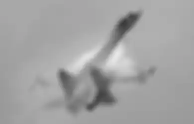 Gara-gara Amerika Serikat, Jet Tumpur Su-35 Terancam Batal Mangudara di Langit Indonesia, AS Harus Lakukan Hal Ini Sebagai Ganti Ruginya