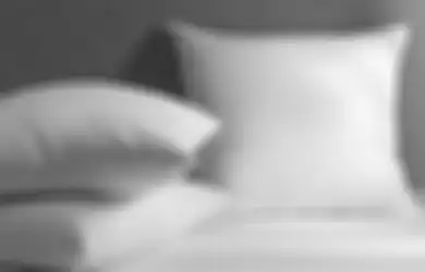 Mengerikan, Bahaya Mengintai Jika Kamu Tidak Pernah Ganti Bantal Tidurmu!