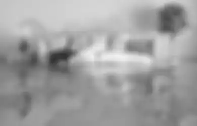 Ancam Keselamatan Penghuni, Ini 5 Bahaya Bisa yang dapat Timbul Pasca Banjir