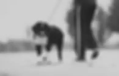 Malaikat Pun Ogah Menghampiri, Berikut Penjelasan Ustaz Abdul Somad Mengenai Hukum Orang Islam Memelihara Anjing