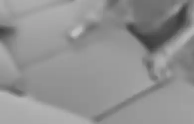 Cuma Satu Menit, Sofa dan Karpet Bebas Bulu Hewan dengan Alat Ini