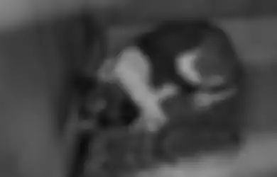 Puluhan Anjing di Rusia Ini Tiba-tiba Menjadi Kanibal, Musababnya Tak Terduga