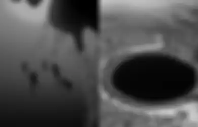 Misteri Blue Hole Misterius Akhirnya Terpecahkan, Isi di dalamnya Disebut 'Momok Lautan'