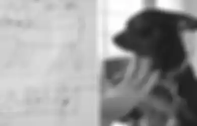Hebat! Seorang Polisi Bisa Menemukan Anjing yang Hilang dengan Gambar yang Sangat 'Sederhana'
