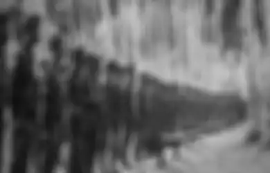 60 Tahun Jadi Perisai Negara, Kostrad Punya Perjuangan Panjang Sebelum Dibentuk Secara Sempurna, Berawal dari Panasnya Konflik Irian Barat, Berikut Sejarahnya...