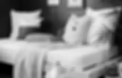 Jangan Asal Beli, Ketahui Dulu Pertimbangan Membeli Sofa Bed