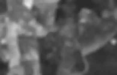 Viral Prajurit TNI 'Tidur Kalong' di Atas Pohon, Ini Maksud di Baliknya
