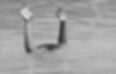 Gegara Ibu Sibuk Main Ponsel, Ia Tak Menyadari Anaknya Sudah Menjadi Mayat Terapung di Kolam Renang