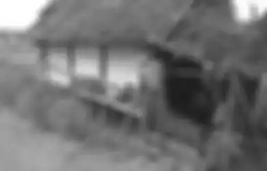 Dulunya Punya Istri Banyak, Sekarang Kakek Ini Terpaksa Tinggal di Gubuk Reyot Tengah Sawah : Sudah Miring Mau Ambruk