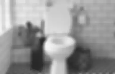 Kamar Mandi Lembab, Faktanya Buat Banyak Binatang Bersarang, Cek Solusinya!
