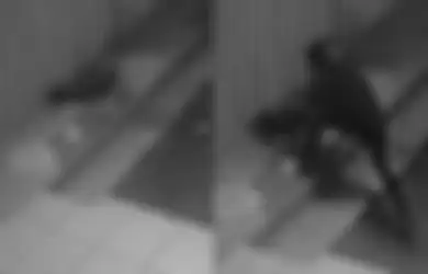 Tak Punya Belas Kasihan, Seorang Copet Tega Jarah Barang Milik Kakek Tua yang Tidur di Emperan Toko