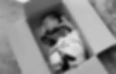 Warga Aceh Heboh saat Dikejutkan dengan Penemuan Bayi yang Dibuang oleh Ibunya di Pinggir Jalan, Kondisinya Memprihatinkan