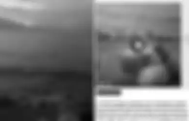 Ada Suaranya Tapi Tak Nampak Wujudnya, Viral Video Pemandangan Laut Terekam Suara Orang-orang Minta Tolong Tepat di Pantai Talise, Lokasi Bekas Tragedi Tsunami Palu