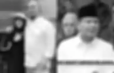 Minta ke Prabowo Subianto untuk Ditetapkan Jadi Anggota Dewan Meski Tak Terpilih, Mulan Jameela Cs Menangi Gugatan di Pengadilan Negeri Jakarta Selatan