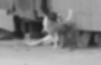Arti Anjing Menggonggong pada Malam Hari dan Dini Hari, Wasapada Bisa Jadi Pertanda Suatu Daerah akan Susah