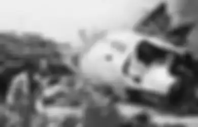 Tewaskan Gubernur Sumatera Utara, Misteri Kecelakaan Pesawat Mandala Air RI91 14 Tahun Lalu Berhasil Dibongkar, Bukan Karena Angkut Durian, Tapi Ini Penyebabnya