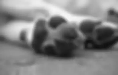 Kehabisan Akal! Dua Pria Bermotor Nekat Seret Anjing Sepanjang Jalan, Terungkap Fakta Sesungguhnya