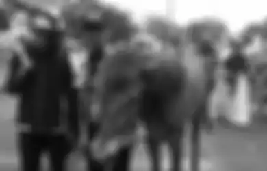 Tuntun Kuda dari Bogor ke Jakarta, Remaja Pria Ini Tempuh Perjalanan Hampir Sehari Semalam Demi Ikut Aksi Mujahid 212, Teman-temannya Mundur Tak Sanggup Sampai Tempat Tujuan