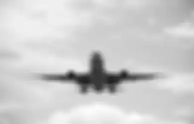 Gara-gara Buah Asli Indonesia Ini, Seorang Pilot Air Canada Umumkan Keadaan Darurat, Hingga Harus Kembali ke Bandara Semula