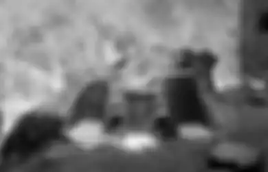 Dikenal Miliki 3 Pintu Penghubung Menuju Dunia Roh, Inilah Naupa Huaca Bangunan Misterius di Jurang Pegunungan Andes, Letak dan Lokasinya Tak Masuk Akal