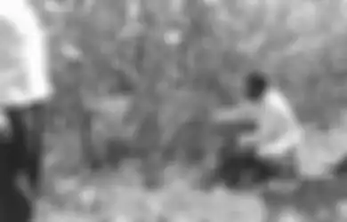 Waspada! Kemarau Panjang Bakal Diprediksi Ancam Gagal Panen, Pemerintah Tawarkan Asuransi untuk Petani, Berikut Penjelasannya