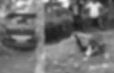 Mobil Dinas Pemkab Mempawah Dikemudikan Anak 16 Tahun Alami Kecelakaan Maut, Tewaskan Ibu dan Anak