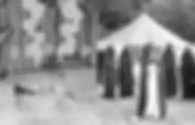 MUI Sampai Turun Tangan, Kerajaan Ubur-ubur di Serang Jadi Satu dari Sekian Banyak Aliran Sekte Aneh di Dunia, Ada yang Terinspirasi dari Komet Hingga Album Musik, Berikut Daftarnya