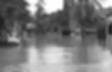  Banjir di Jakarta Hingga Wilayah Sekitarnya, Ini yang Bisa Dilakukan untuk Tamanmu Saat Tergenang Banjir