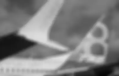 Jadi Aib Memalukan Bagi Kerajaan Pesawat Sekelas Boeing, Pesawat Jenis Boeing 737 MAX 8 Sudah Kantongi Izin Terbang dari Amerika, Uni Eropa Menyusul Berikan Izin untuk Tahun Depan, Padahal Korban Kecelakannya Capai Ratusan Jiwa