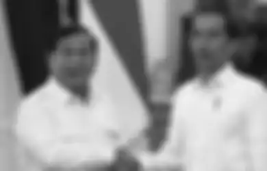 Wujudkan Keinginan Prabowo, Jokowi Tunjuk 2 Mantan Anggota Tim Mawar Menjabat di Kementerian Pertahanan, Ini Sosoknya
