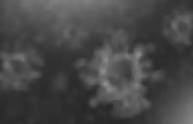 Viral Kisah Seorang Wanita Taiwan yang 'Selamat' dari Virus Corona, Awalnya Kesal dengan Hewan Peliharaannya Tapi Akhirnya Bersyukur