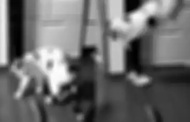Penasaran Kenapa Kucing Takut Mentimun? Begini Penjelasan Para Ilmuwan