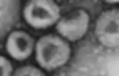 Intelejen Israel Sebut Virus Corona Sebagai Senjata Biologi China yang Bocor, Mantan Kepala Intel TNI Justru Katakan Ini, Singgung Soal Penjual dan Pembeli