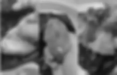 Daging Lele Berbintik Putih Disebut Jadi Tanda Adanya Parasit, Ramai Adanya Larangan, Dokter Hewan Justru Sebut Sebaliknya