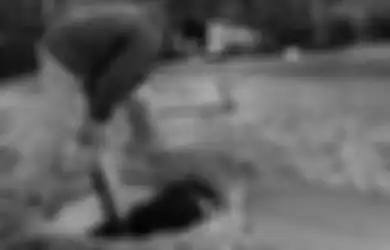 Peletakan Septictank Tidak Boleh Sembarangan, Fatal Dampaknya!