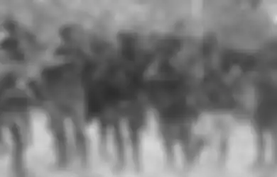 Petantang-Petanteng Todongkan Senjata dan Minta Jatah Makan Secara Paksa, KKB Papua Nekat Masuk Kampung Hingga Teror Warga Tak Berdosa, 790 Orang di Tembagapura Sampai Diungsikan ke Timika Gegara Aksi Brutalnya