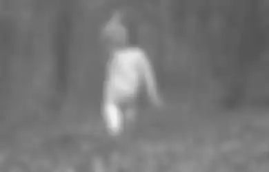 Beli Hutan Seisi-isinya, Konglomerat Ini Kaget Tanah yang Dibelinya Digentayangi Sosok Hantu Cilik nan Cantik, Asal-usulnya Tinggalkan Kisah Pilu