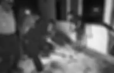 Miris, Segerombolan Anjing Rebutan Daging, Ternyata Potongan Tubuh Bayi, Polisi Menduga Hasil Hubungan Gelap