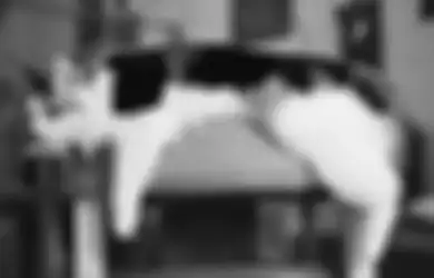 Kucing Belang 3 Dianggap Pembawa Keberuntungan tapi Selalu Dimakan Induknya, Begini Keterangan Pakar
