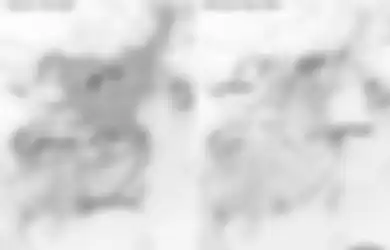 Renggut Nyawa Lebih dari 8000 Orang di Dunia, Virus Corona Malah Disebut Ilmuwan Sebagai Penyelamat Manusia, Blak-blakan ungkap Manfaat Covid-19, Sang Peneliti Bongkar Alasannya