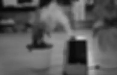 Dokter Reisa Terlanjur Bilang Air Purifier Bisa Kurangi Penularan Virus Corona, Ahli Malah Ungkap Fakta Sebaliknya, Mana yang Benar?