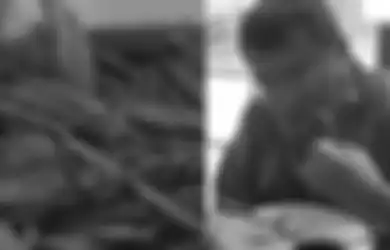 Dulu Viral Karena Dipercaya Mampu Sembuhkan Kanker, Tanaman Asli Kalimantan Ini Jadi Ramuan Hotman Paris untuk Tangkal Virus Corona: Dapat dari Cewek Cantik